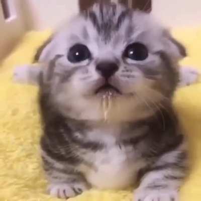She Just Finished Her Milk And She Wants More