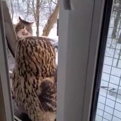 the hell is that?