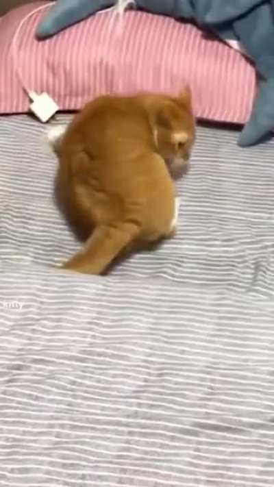 smooth landing