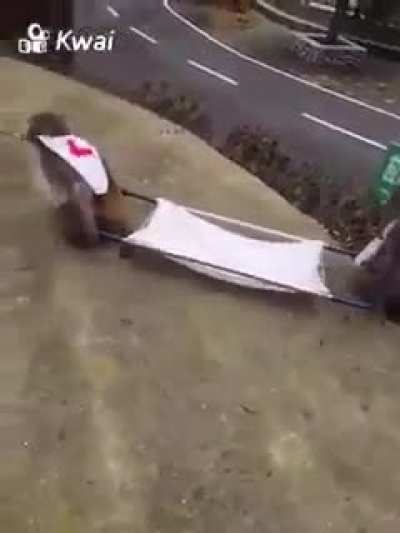 We need more of this medic team
