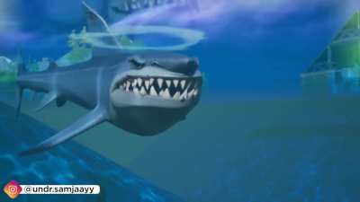 The sharks this season be acting kinda wild