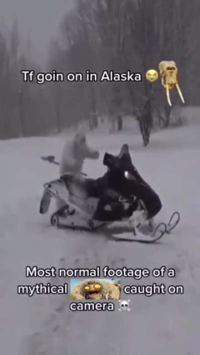 Ayo what the yeti doin!?
