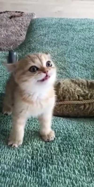 Just wait til I get older :)