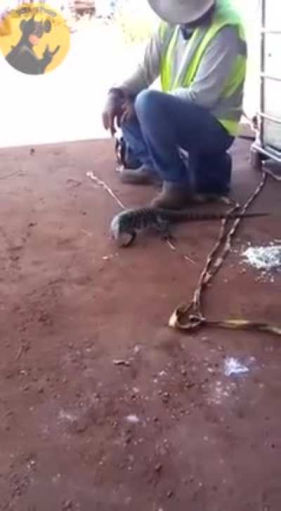 Vc dá o arroz ele quer a alma
