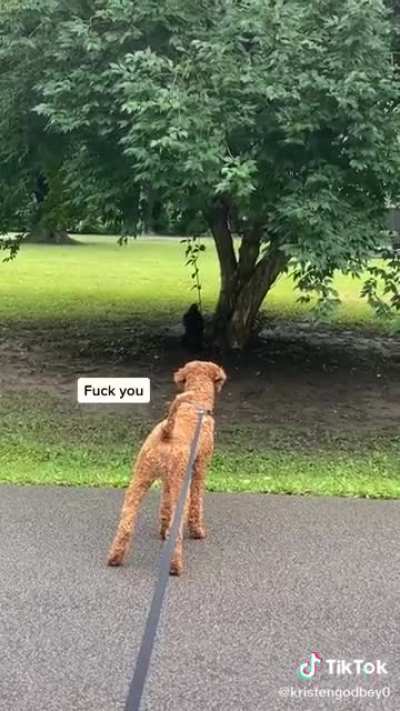 Oh