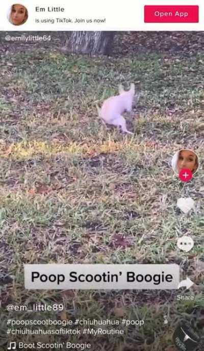 Poop scootin boogie