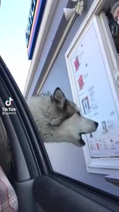 Give him his Puppuccino dammit
