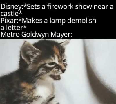 From the Studio who bought you Tom and Jerry.