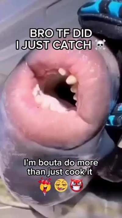 This is epic