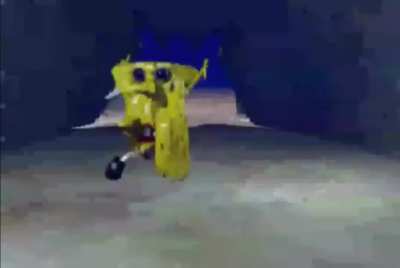 What Man Ham aslune opinion got you liek this