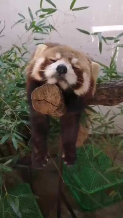 when you're sitting in a meeting that should've been an email
