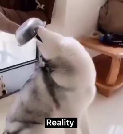Dadadadadadadada