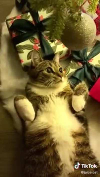 touch tha ball