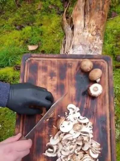 Pasta with chicken and mushrooms (for the most part)