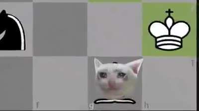 Mlg chess