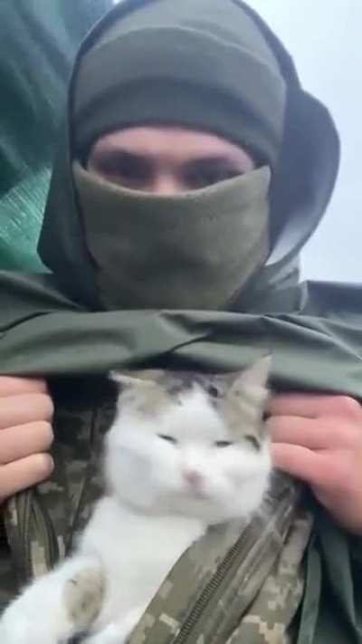 Tactical battle cat