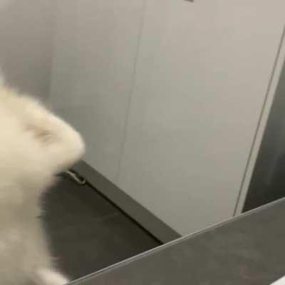Bathroom Attendant