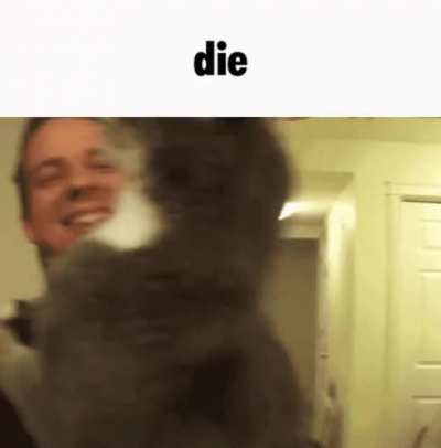 Kaht