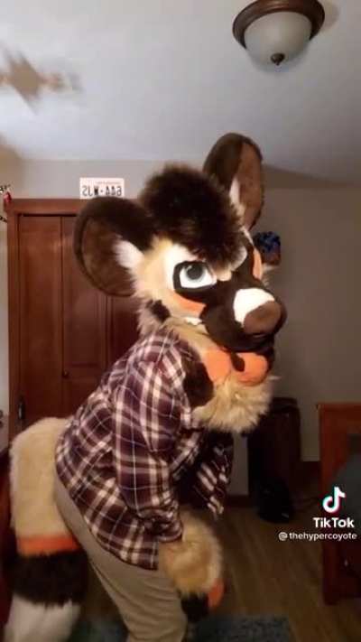 Fox_irl