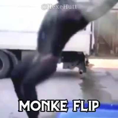 Flipzada