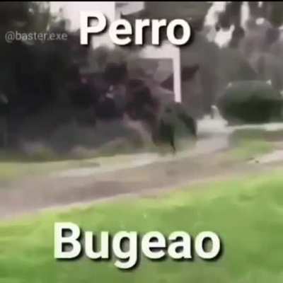 😳👌