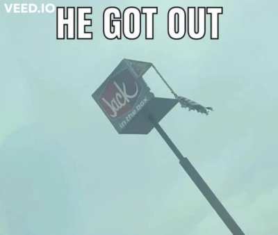 He got out