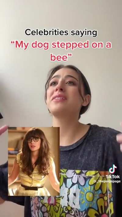 My dog stepped on a bee