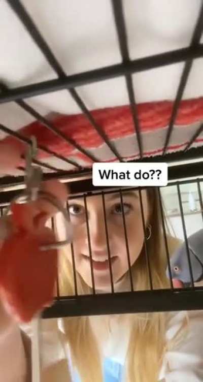 What doing