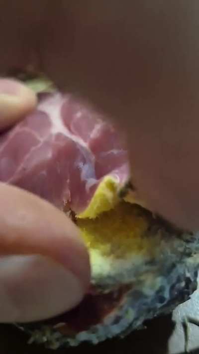 CONSULTA SOBRE HONGOS
