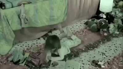 Nadie:. Timi cuando se le para:
