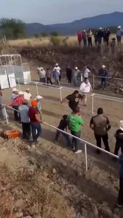 Way better than those horses