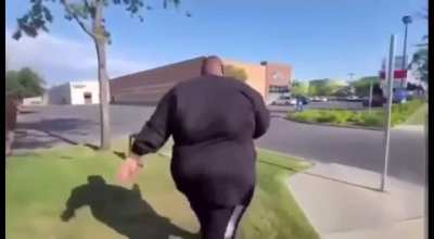 Waddle waddle