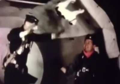 Cat reflexes in zero gravity