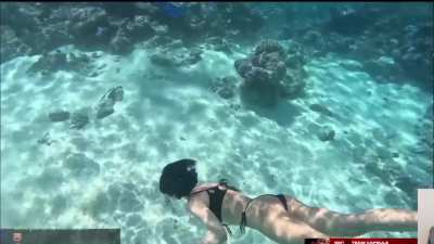 Daph swimming