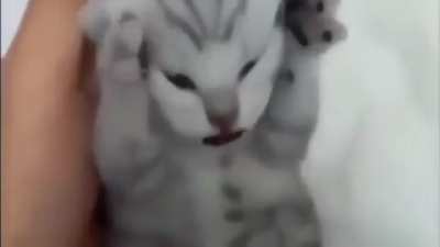 GERÇEK DEĞİLSİN BİLİYORUM ÇIK KAFAMIN İÇİNDEN ÇIK