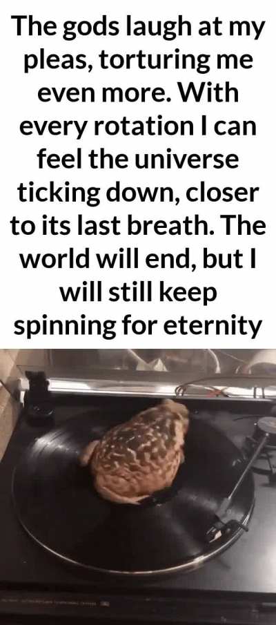Spinning