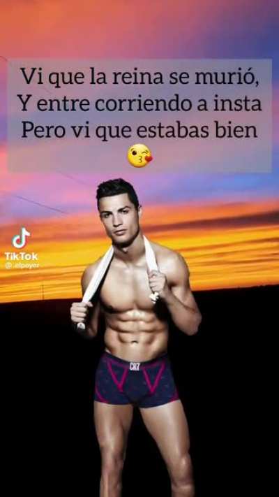 El bicho