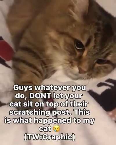 😭