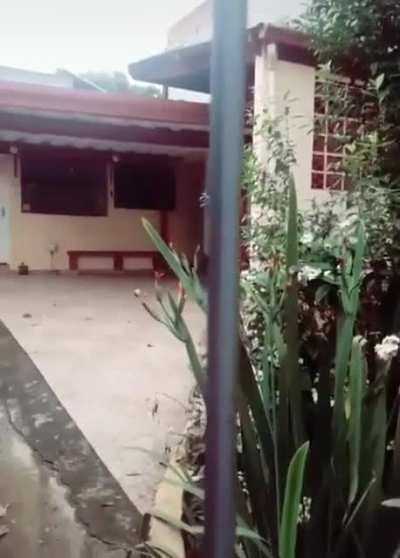 Vizinho sorridente 😁