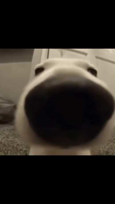 👃💨