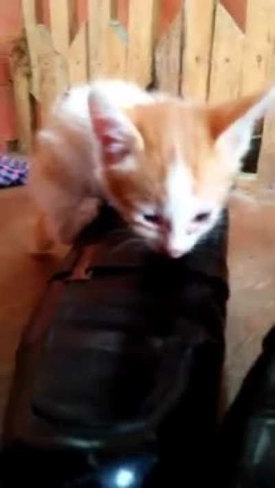 Maybe maybe maybe