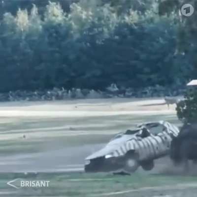 The strength of a rhino