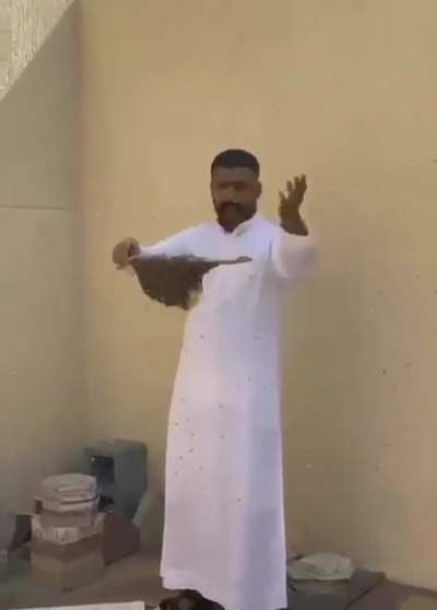 HMFT after i mess around with bees