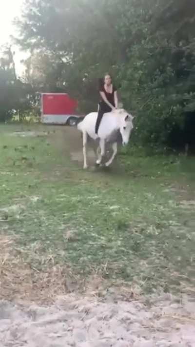 Я - жрать! Ты - купаться!
