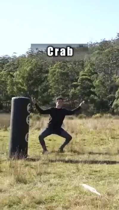 How animals fight