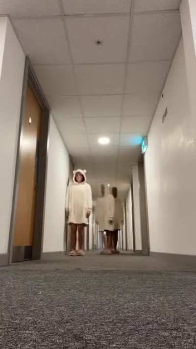 This video wins the internet today!