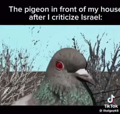 Nice try, drone.