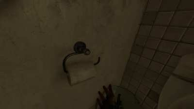 I saw video of toilet paper tactical reload and that makes me want to try that. But toilet papers at my home are tubeless. So i did that in HL: Alyx instead.