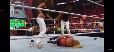 The Bella Twins insulted Kelly Kelly