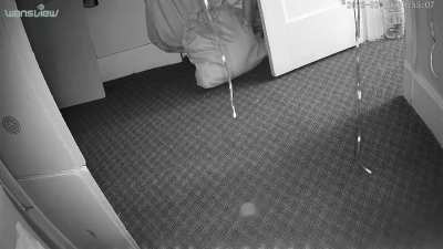 Security camera. 3:55 am.